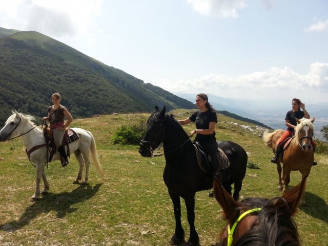 En grupo con los caballos 